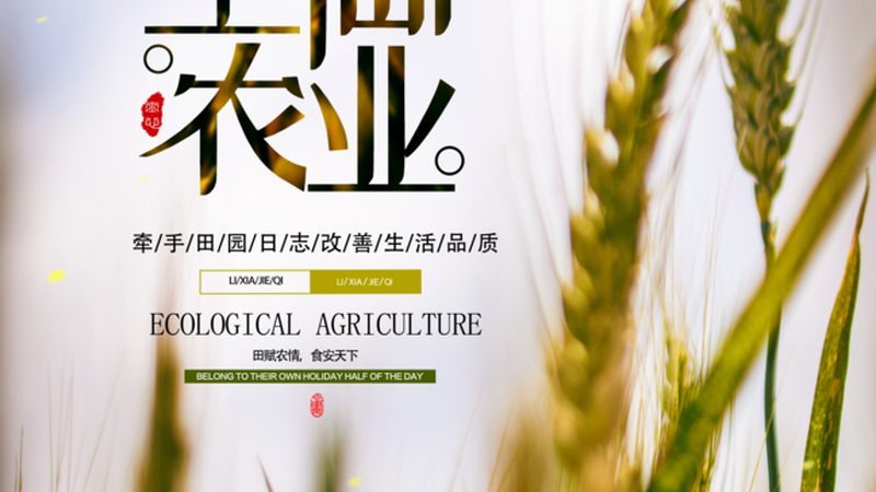 农业产业园数字化系统：未来农业的智能引擎**