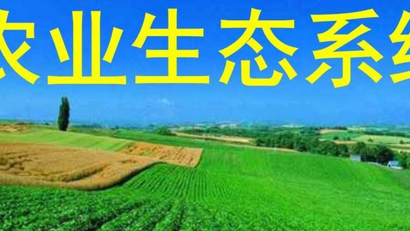 现代农业技术品牌解析：探索创新与品质保障