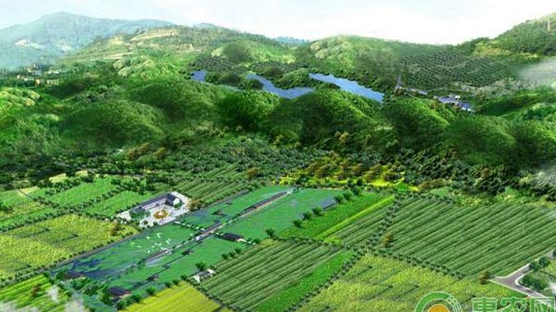 休闲农业观光园，如何打造生态旅游新亮点**