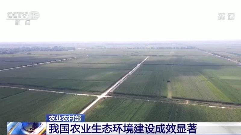 成都青白江生鲜配送：如何保障食品安全与效率