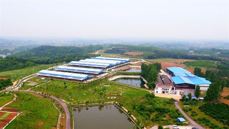 现代温室工程材料选择：关键因素与误区解析