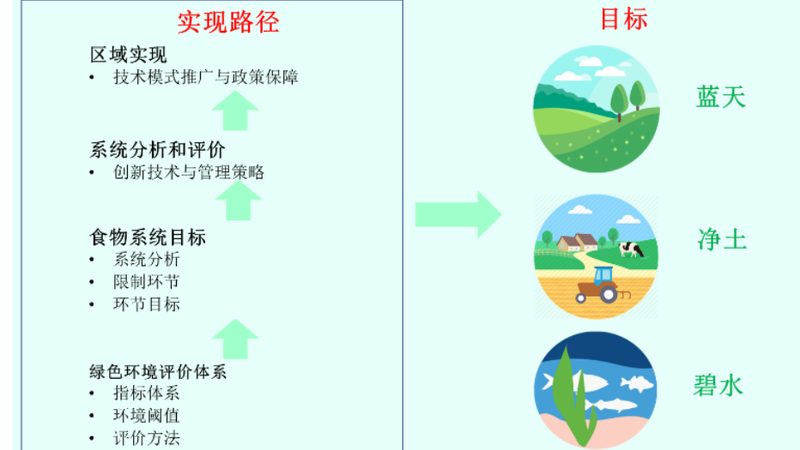 楼顶种果，土壤配方揭秘