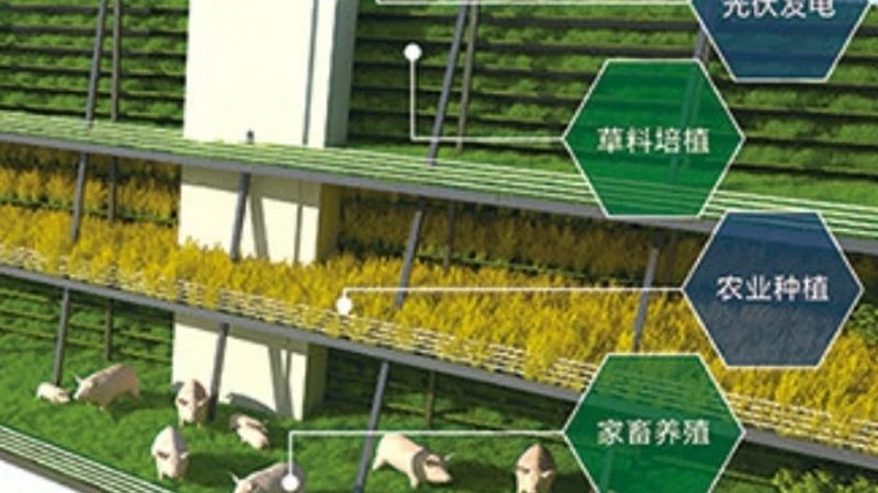 大棚保温被：如何选择优质产品，保障农业生产效率**