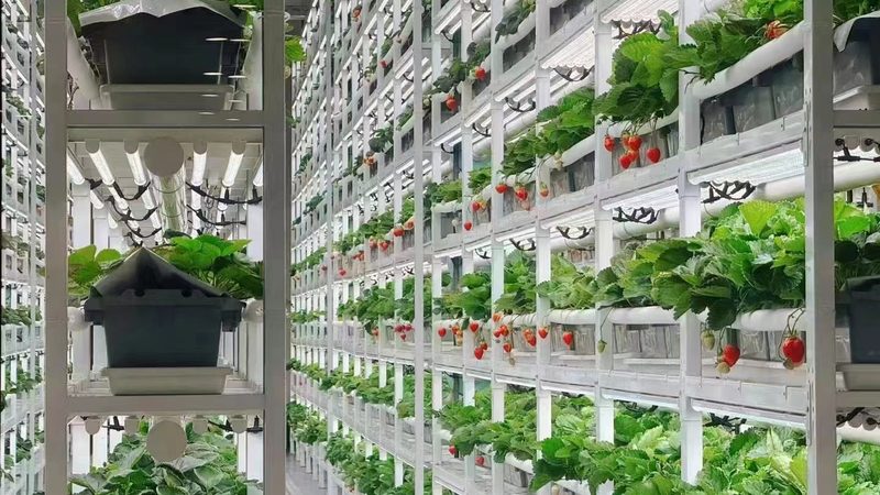 农民专业合作社的经营范围，这样写才合规又实用